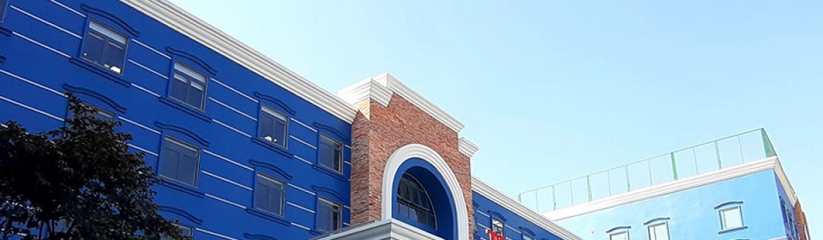 Deploy cabling system at TAS International School